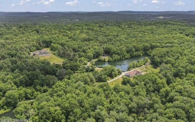 Hidden Retreat 4-homes 134 acres