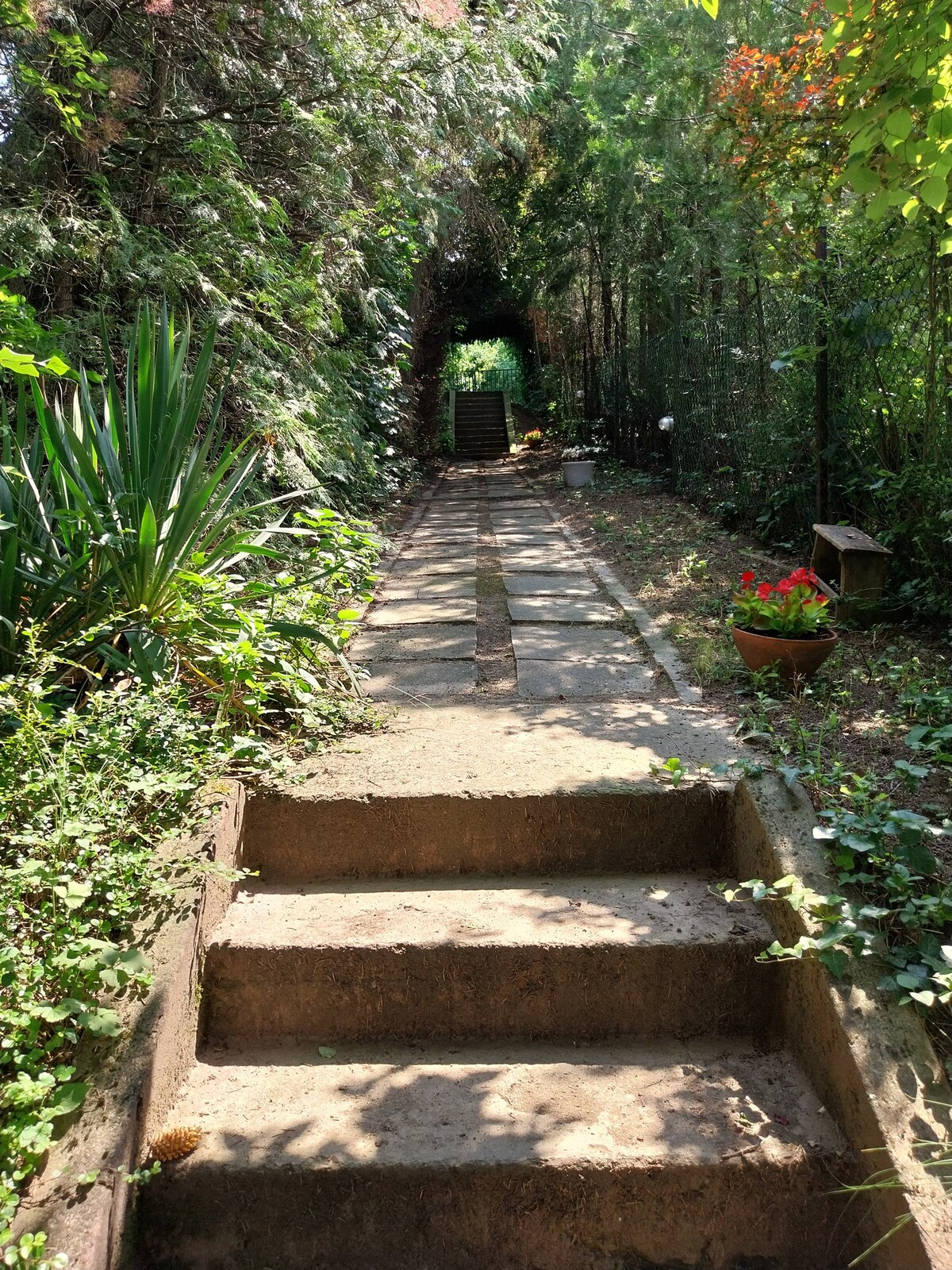 乡村风光全景风情风光