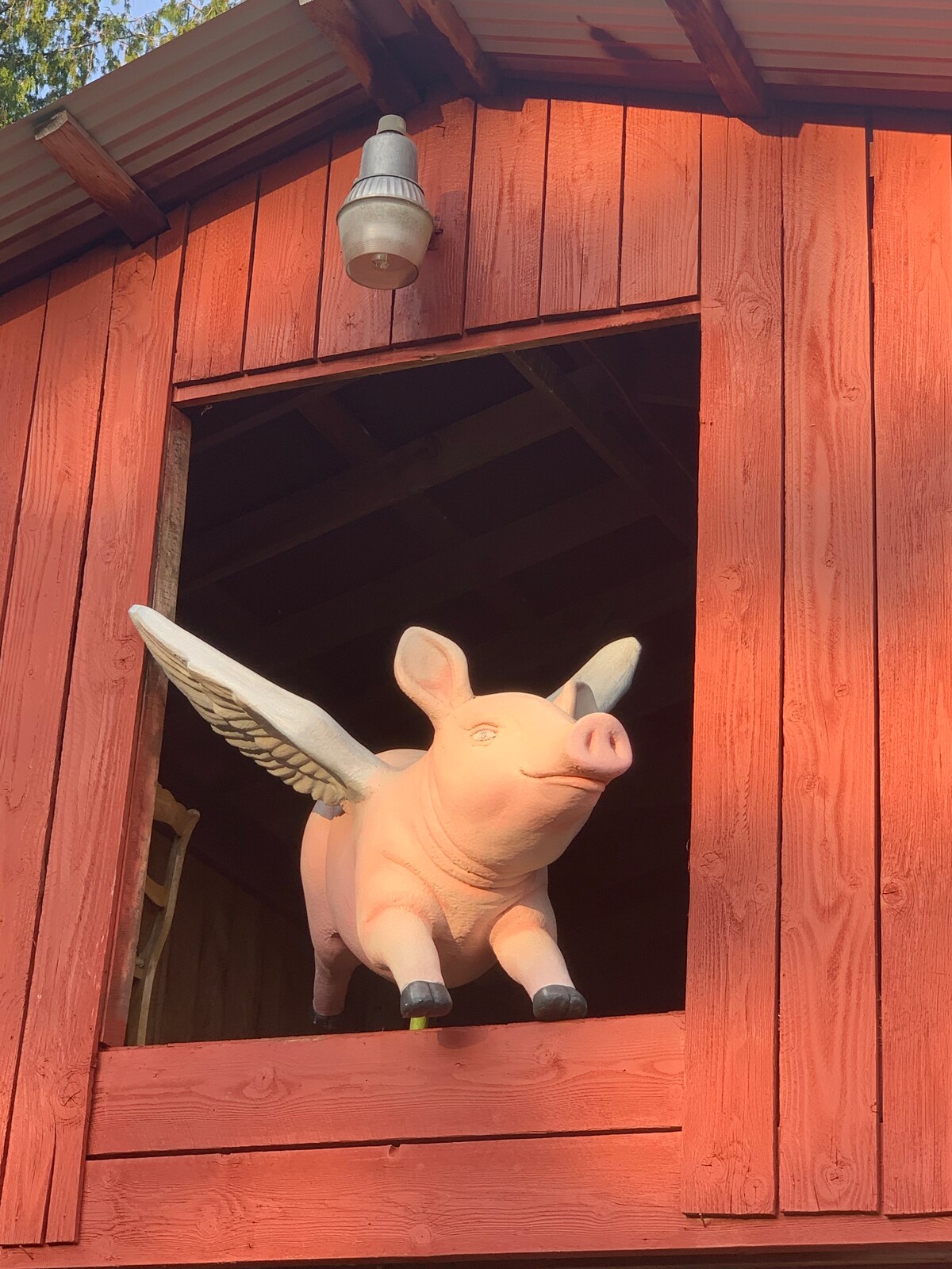 flying pig barn room Queen bed