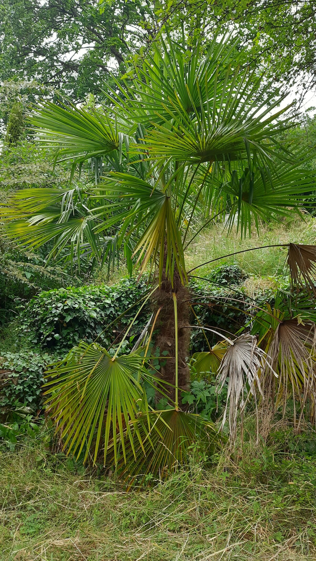 Naturnahes Ferien-HAUS am Lemberg