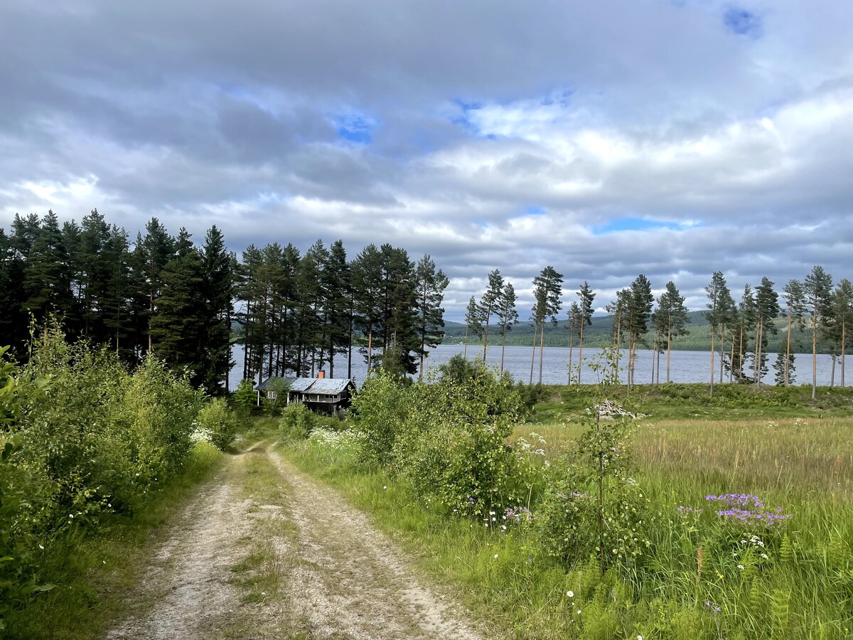 stuga i Järvsö  med egen strand och brygga