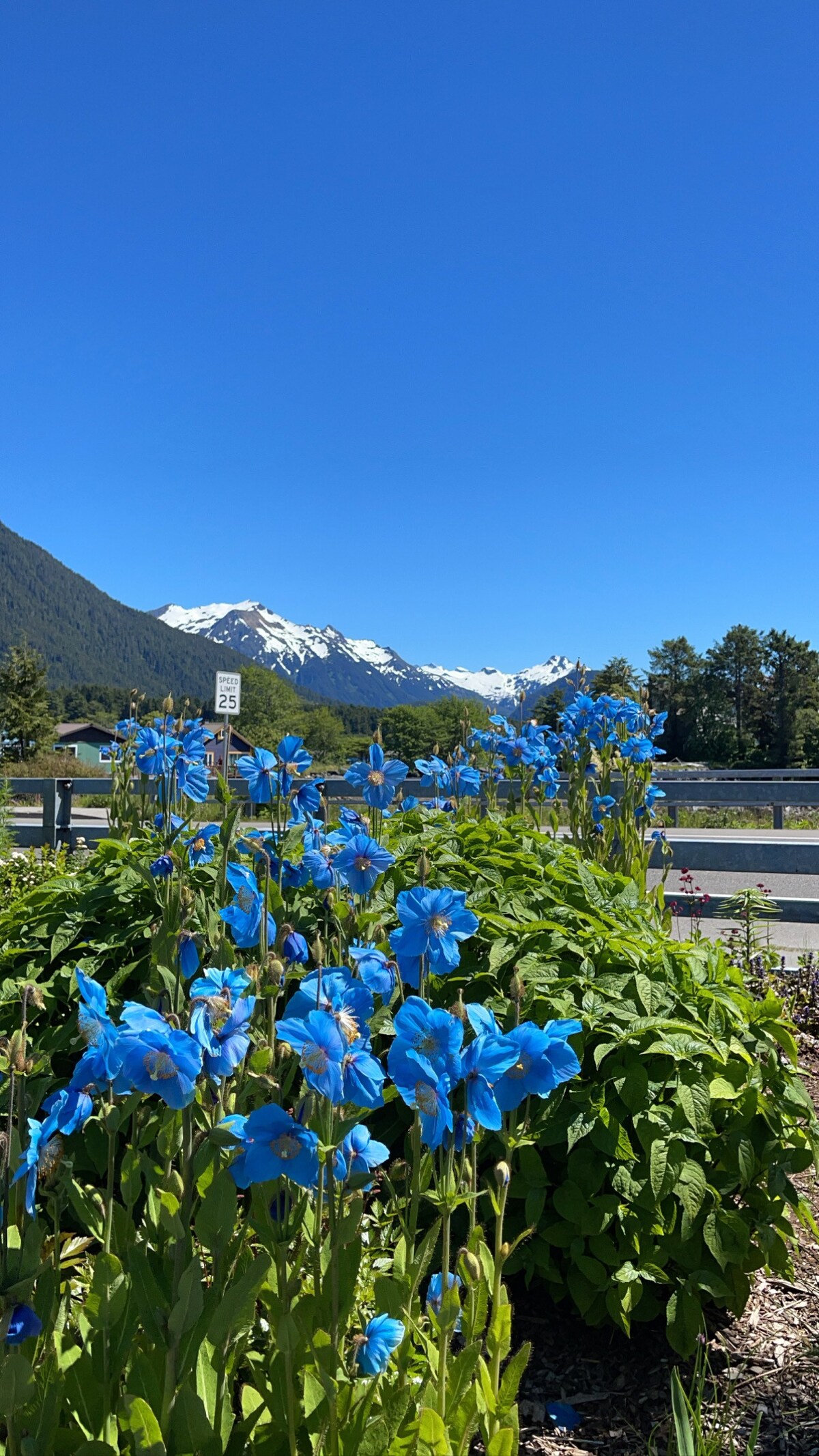 The Lodge at Silver Bay