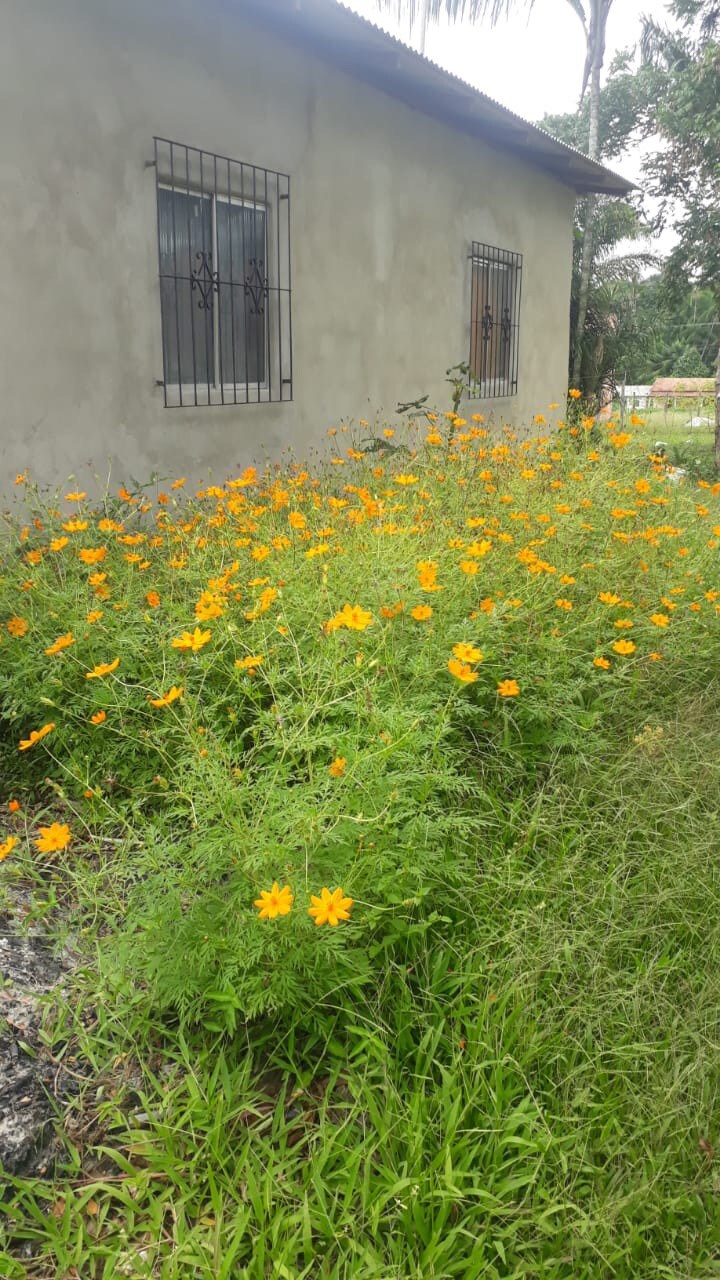 Casa bem localizada em Colares