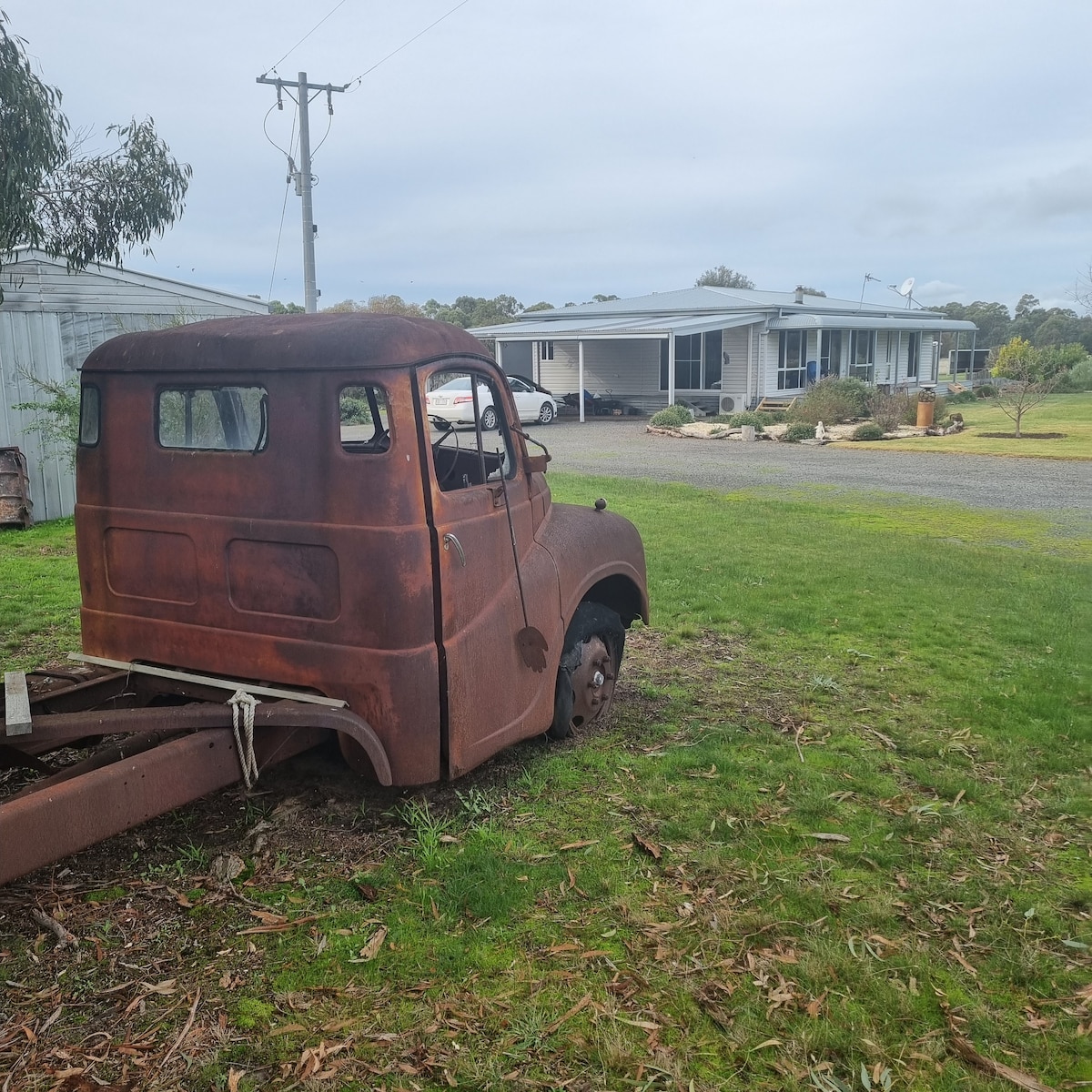 Jinchilla in Pomonal -The Grampians