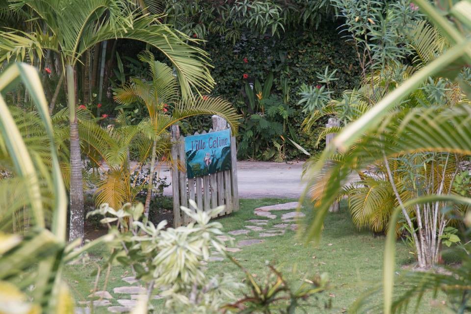 令人惊叹的热带花园别墅，距离海滩50米
