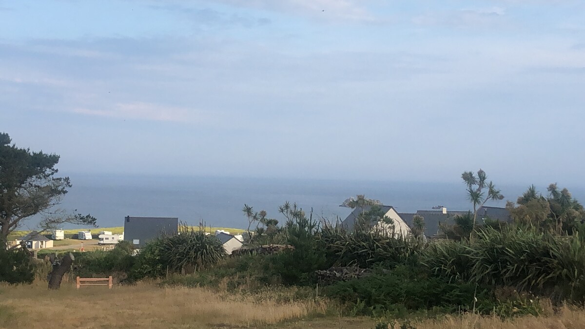 La Jonc de mer face aux îles de Ouessant et Molène