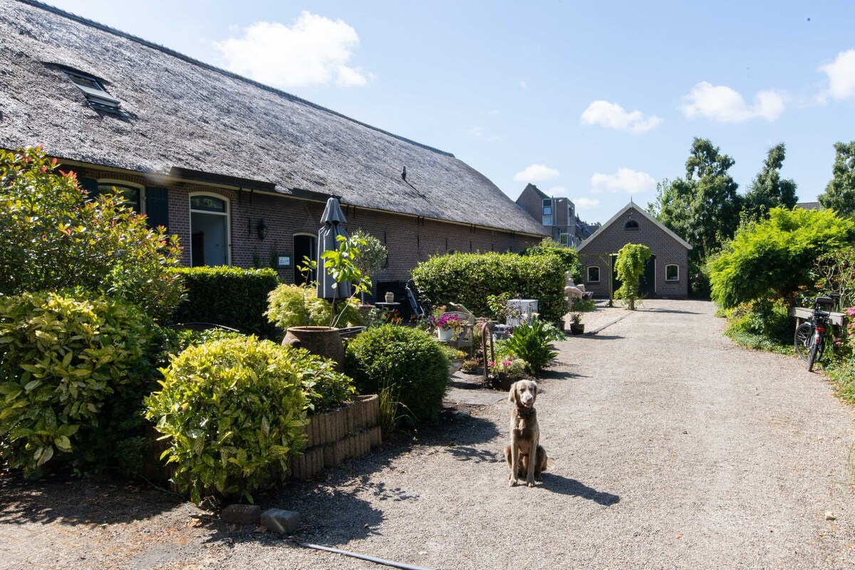 Social farmhouse near Amsterdam