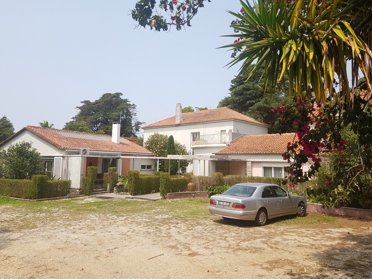 A villa house in Sintra