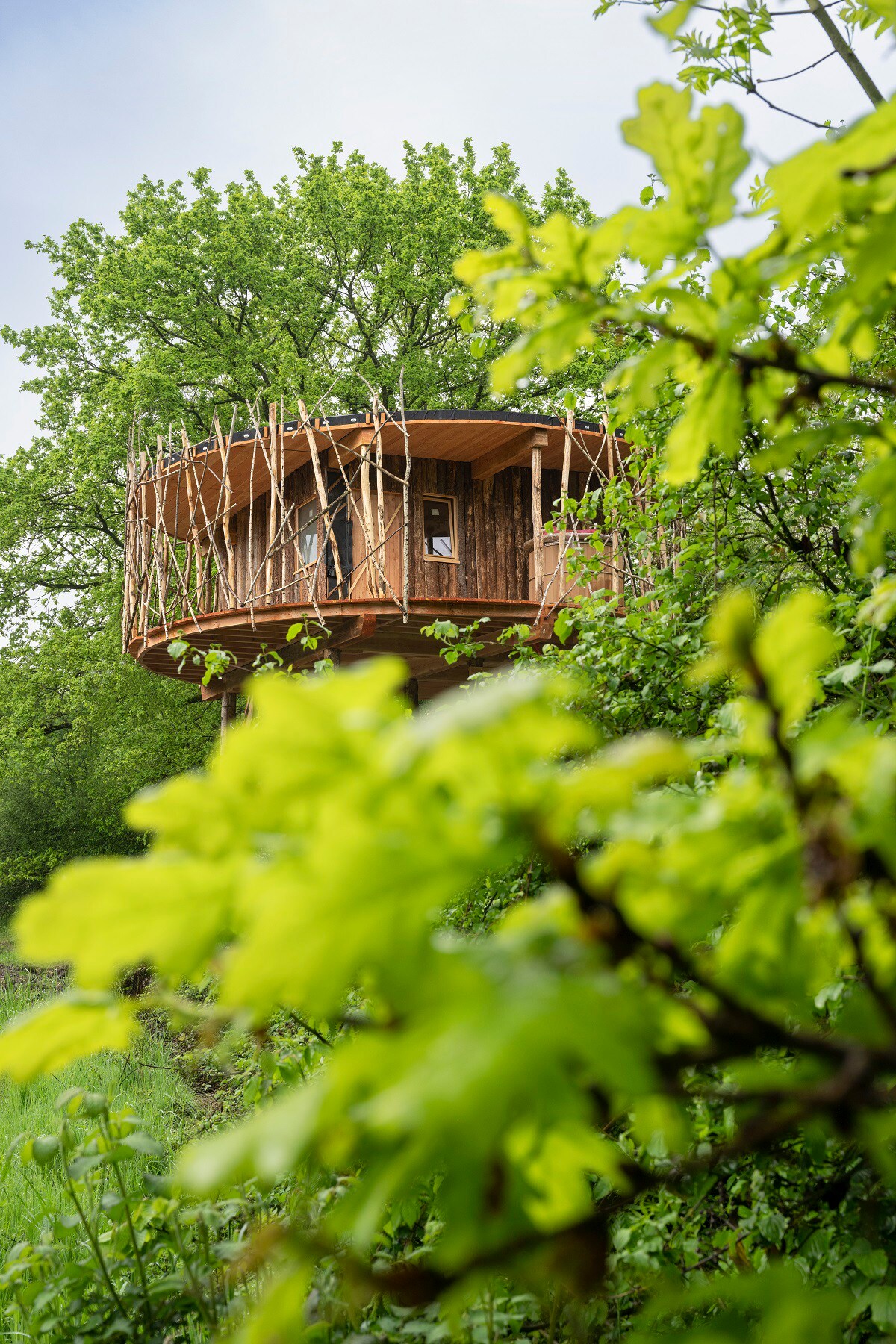 Cabane perchée Spa Havre de Paix