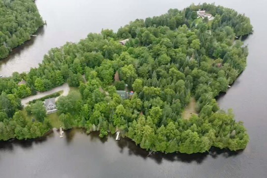 Le Caribou, paix au Lac des Îles