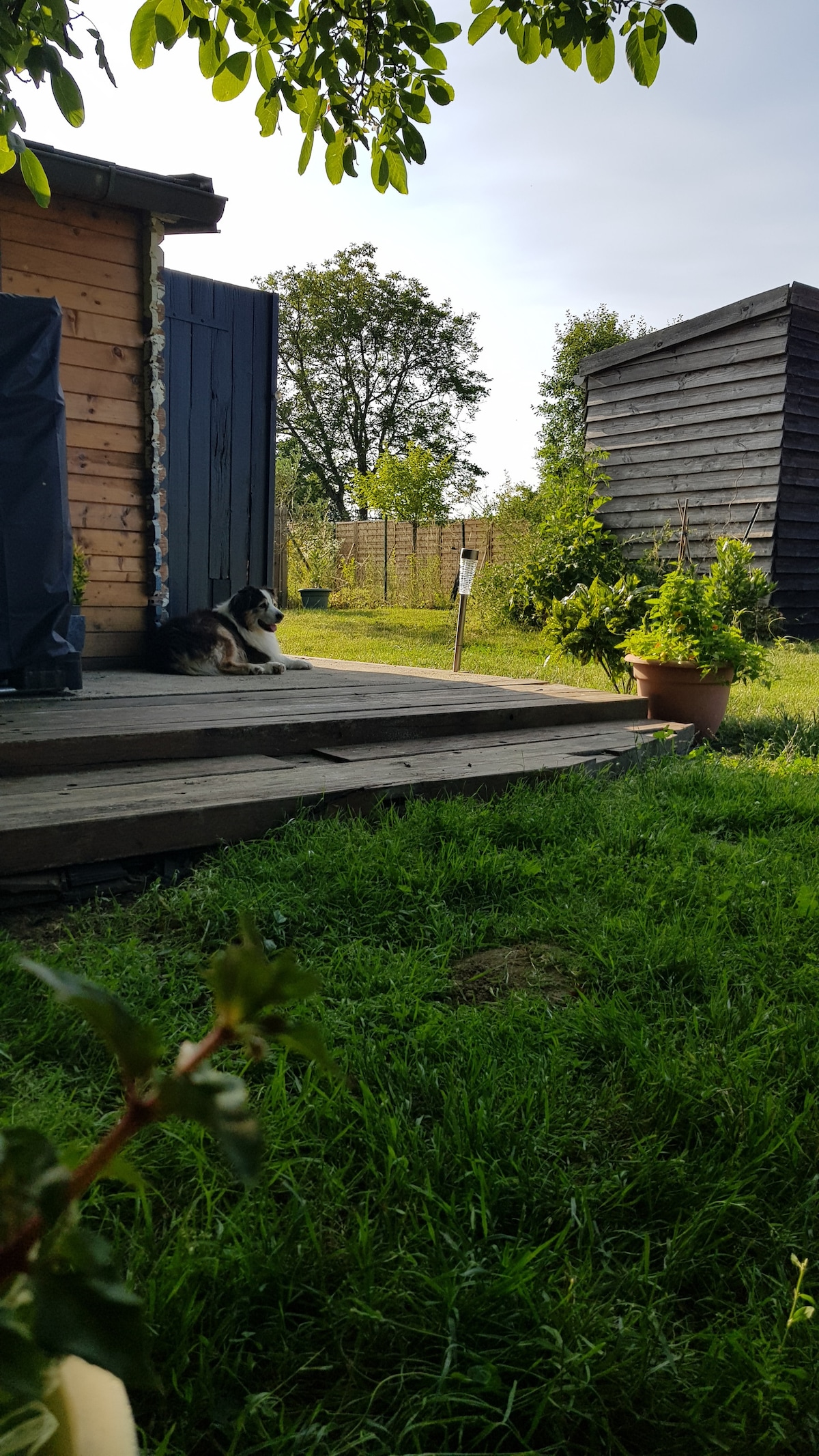 Cabane au calme dans verger