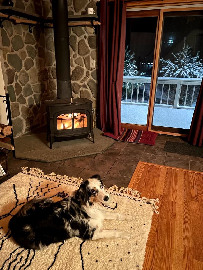 The Honig Haus | Dog-friendly Upstate NY Cabin