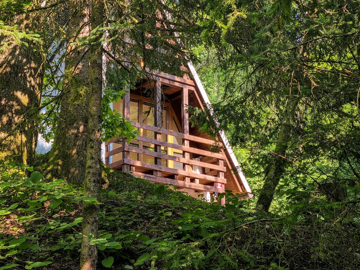 Secluded Retreat: Jakob Cabin