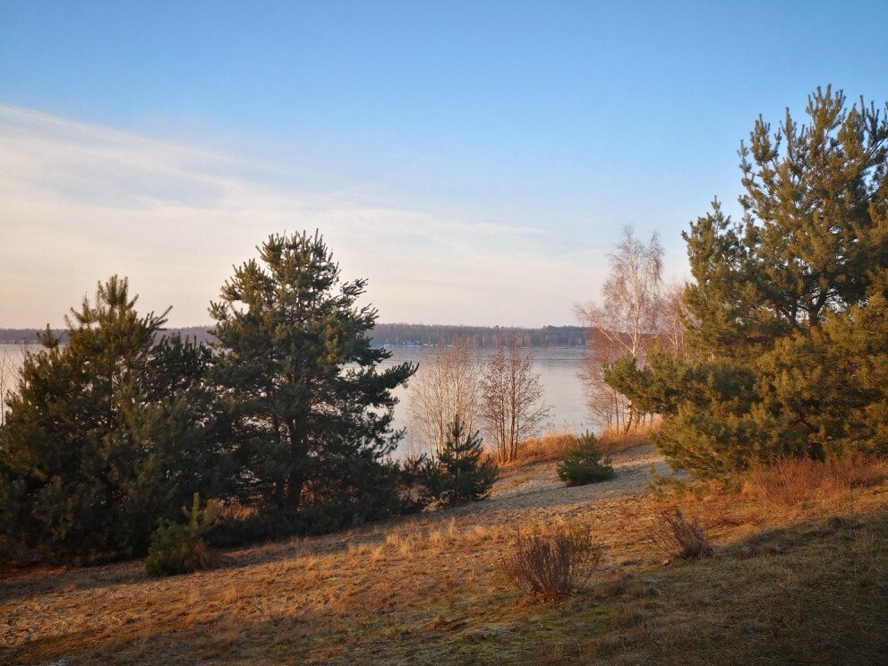 Buchhäuschen am Bergwitzsee