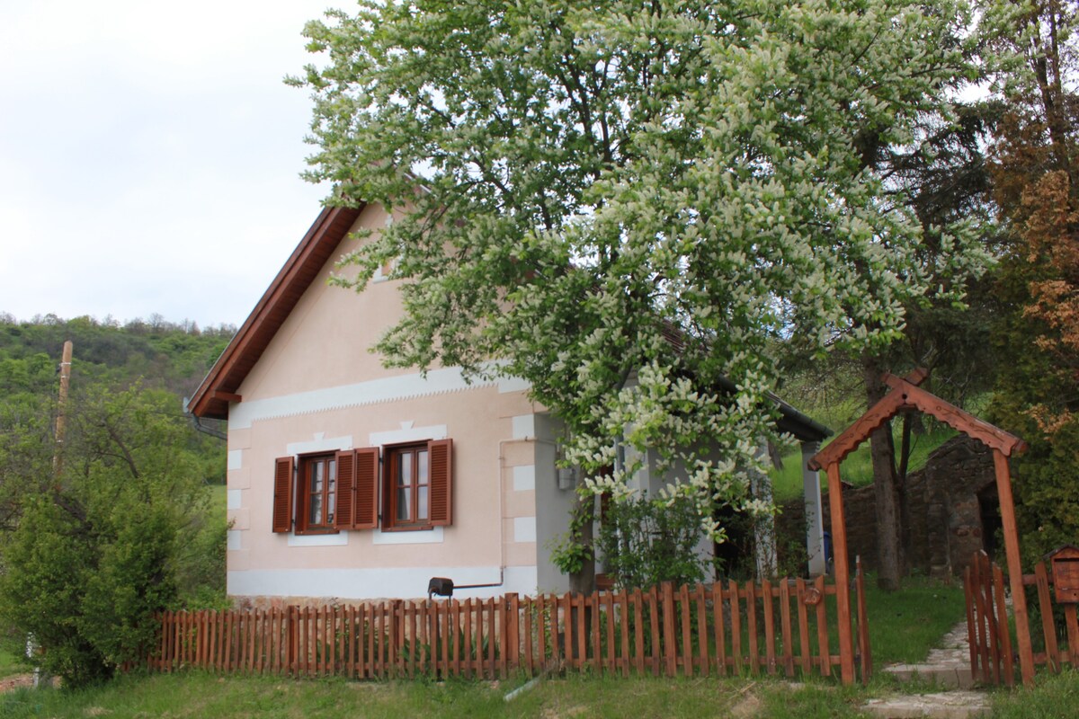 Alsópetényi Forest Wind Guesthouse