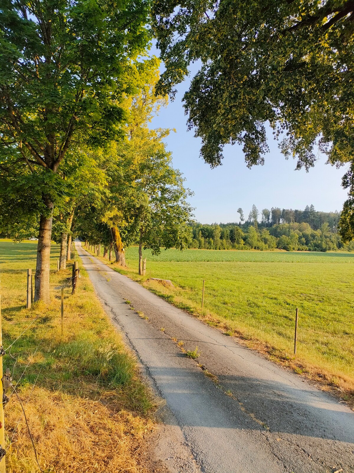 Wohnung auf dem Bauernhof