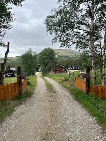 Folldal kommune的民宿