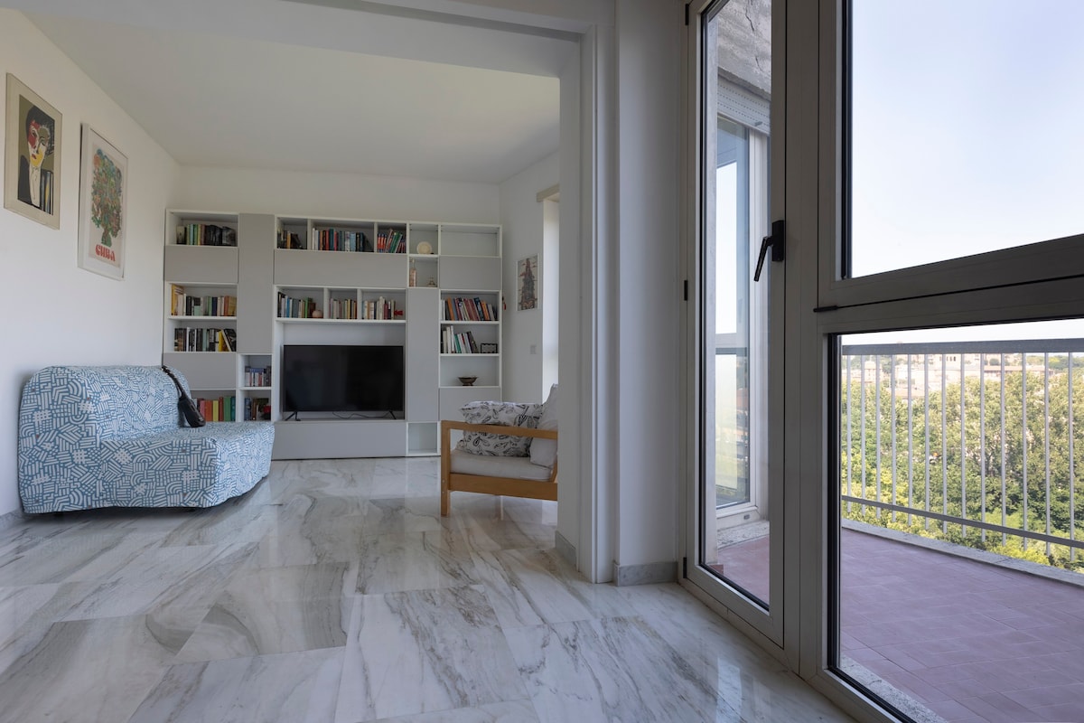宽敞的公寓，拥有三间卧室和令人叹为观止的罗马美景。