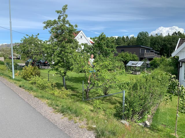 Tønsberg的民宿