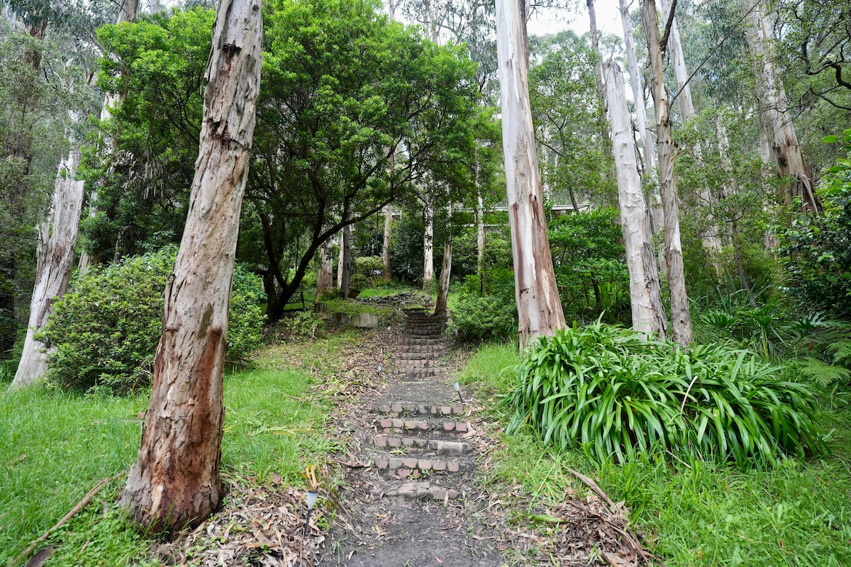 Private Ground Floor Among Trees