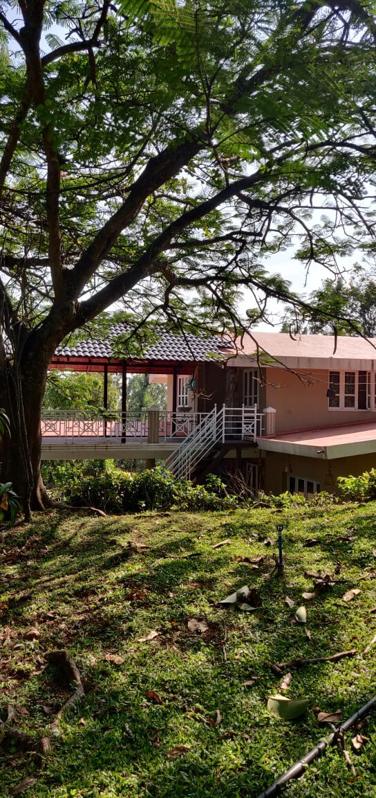 Nature Inn stay Chikmagalur
