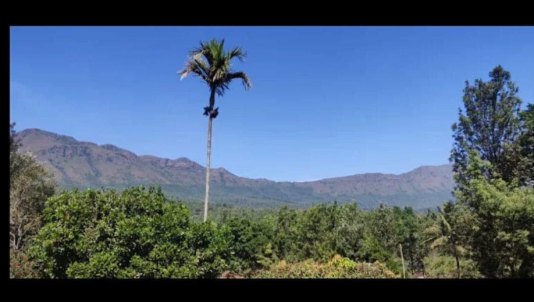 Nature Inn stay Chikmagalur