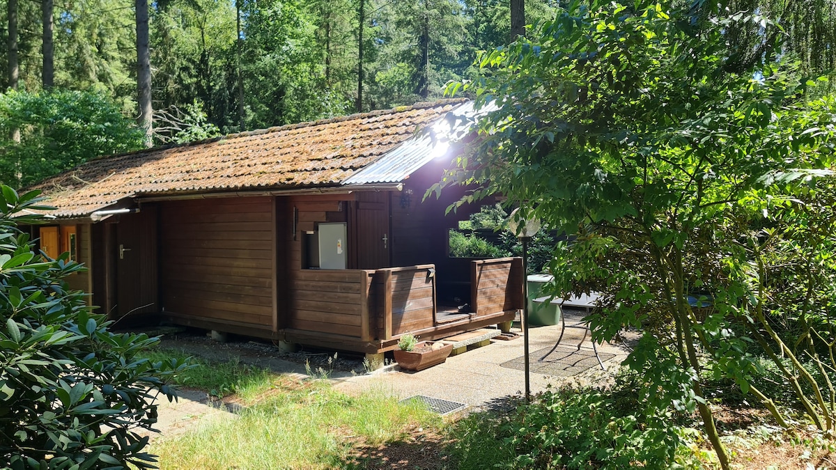 Idyllische Blockhütte im Wald