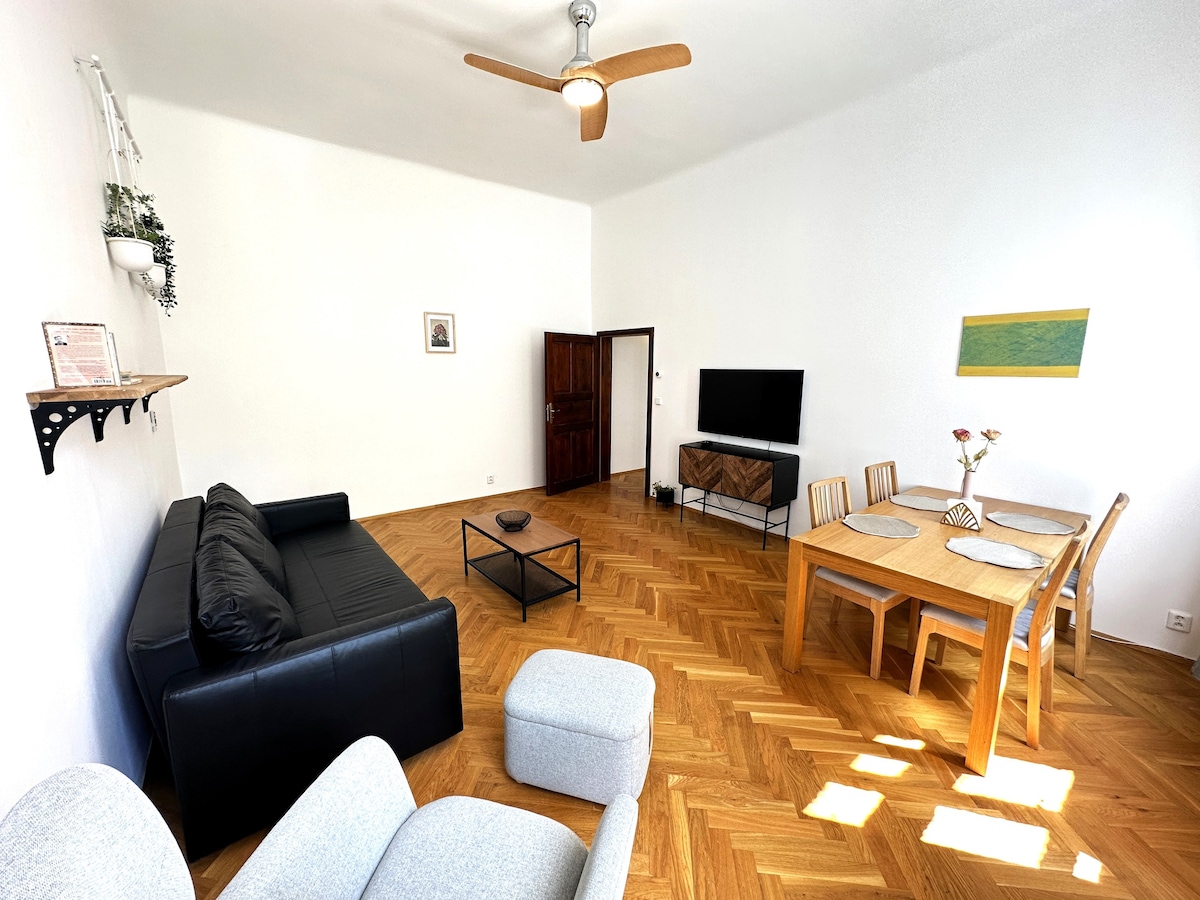 Spacious Apartment in Center