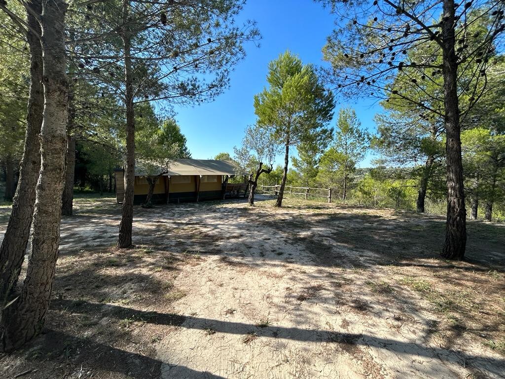 Luxe Safari-tent ‘Olivo’ tussen de olijfbomen.