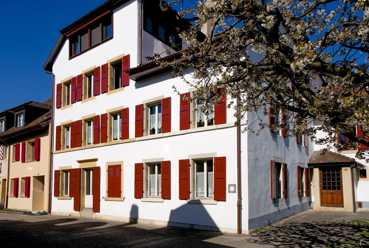 Chez Irène, appartement au centre du vieux village