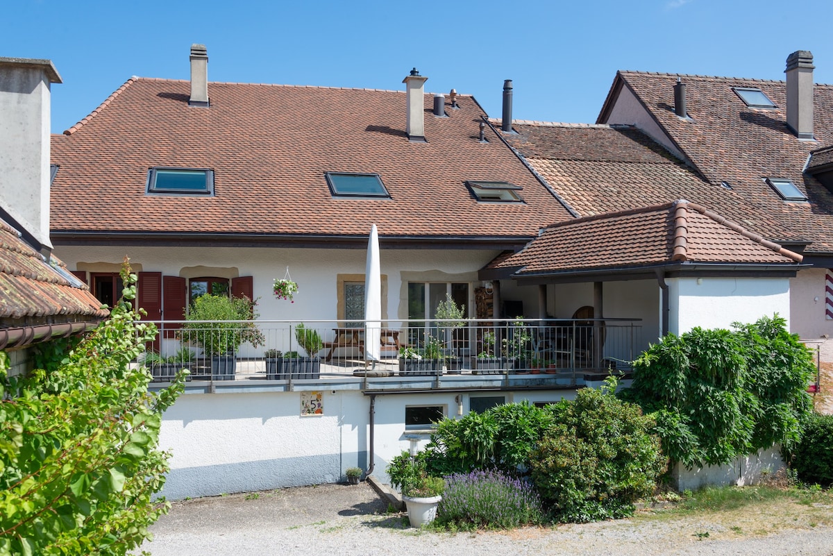 Chez Irène, appartement au centre du vieux village