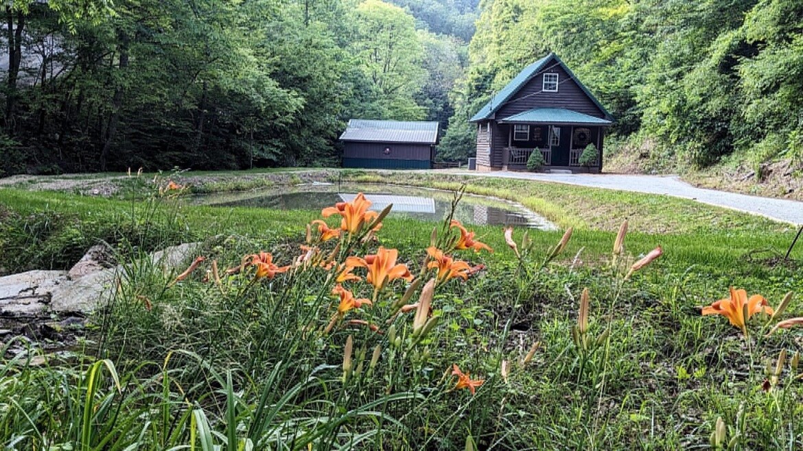 Long Holler Hunting Club