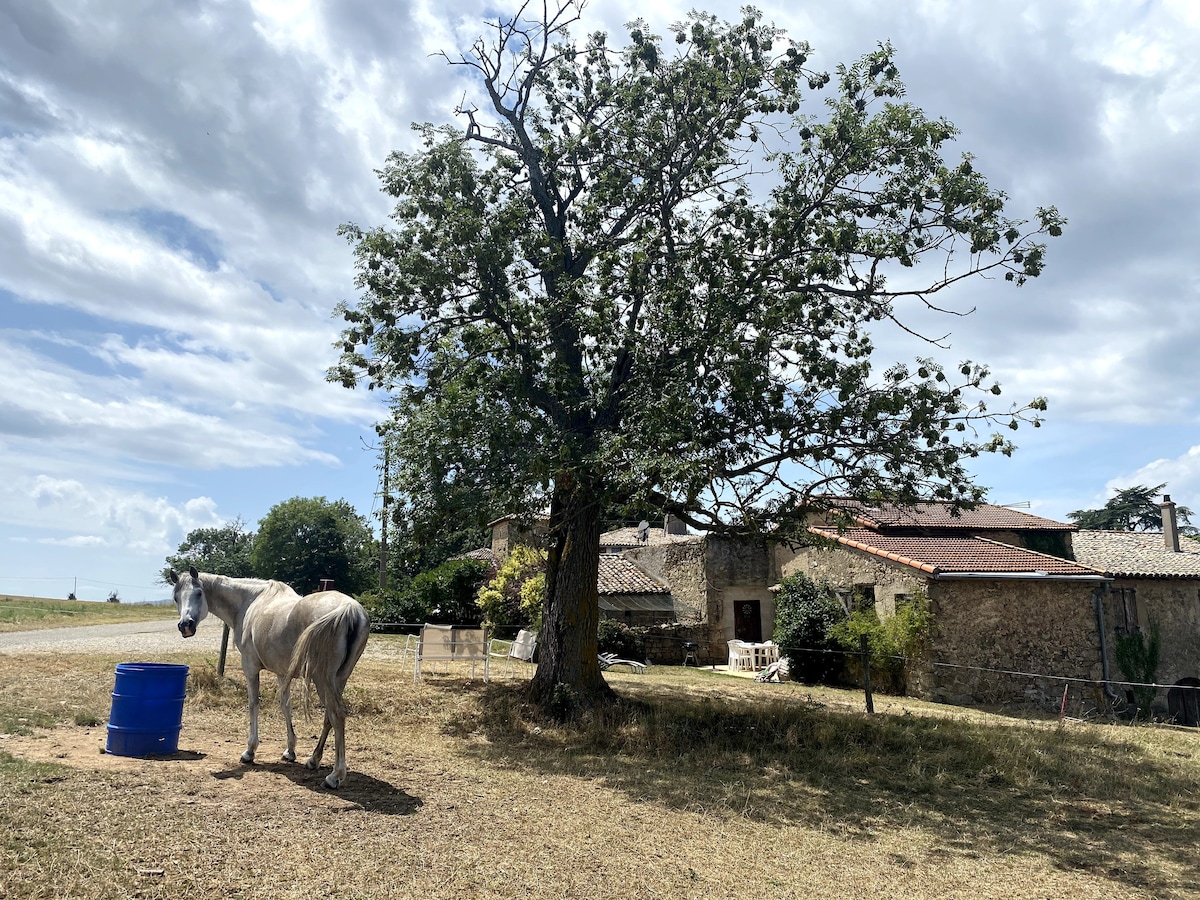 La Ferme de Praron