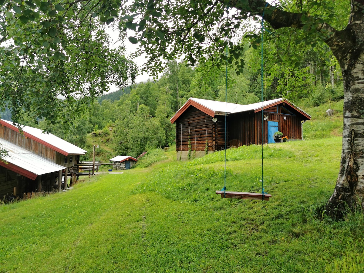 Unique farm stay near Rjukan and Vemork