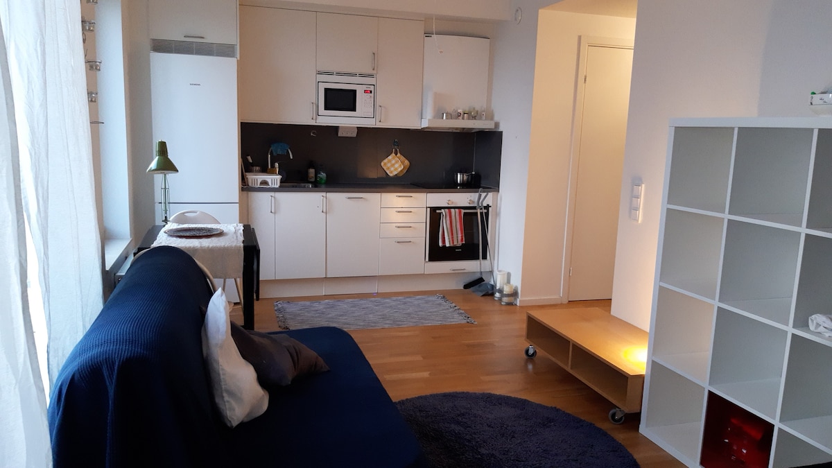 1price1apartmen 30min fr STHLM C