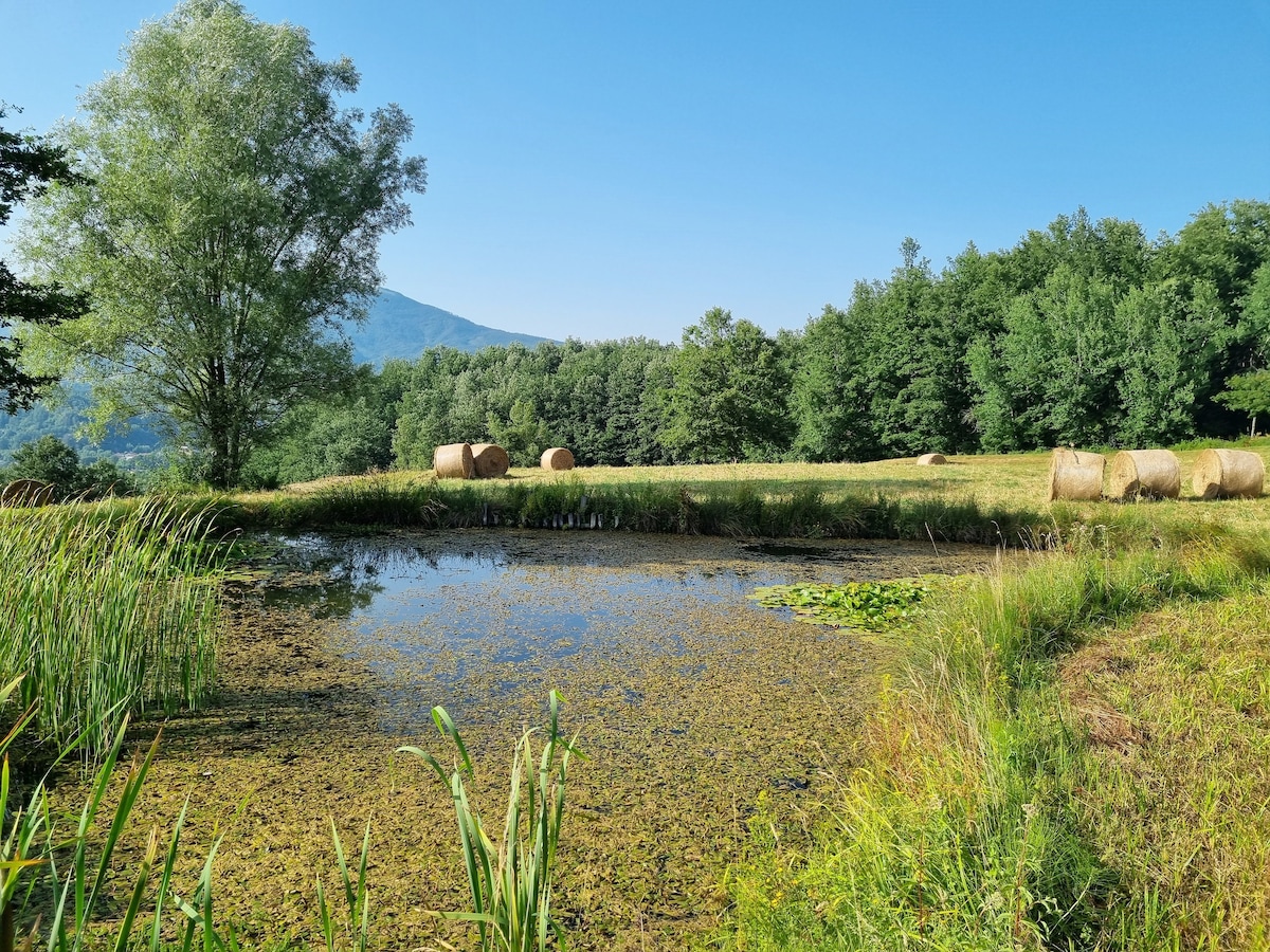 太郎谷（ Val di Taro ）的宁静绿洲