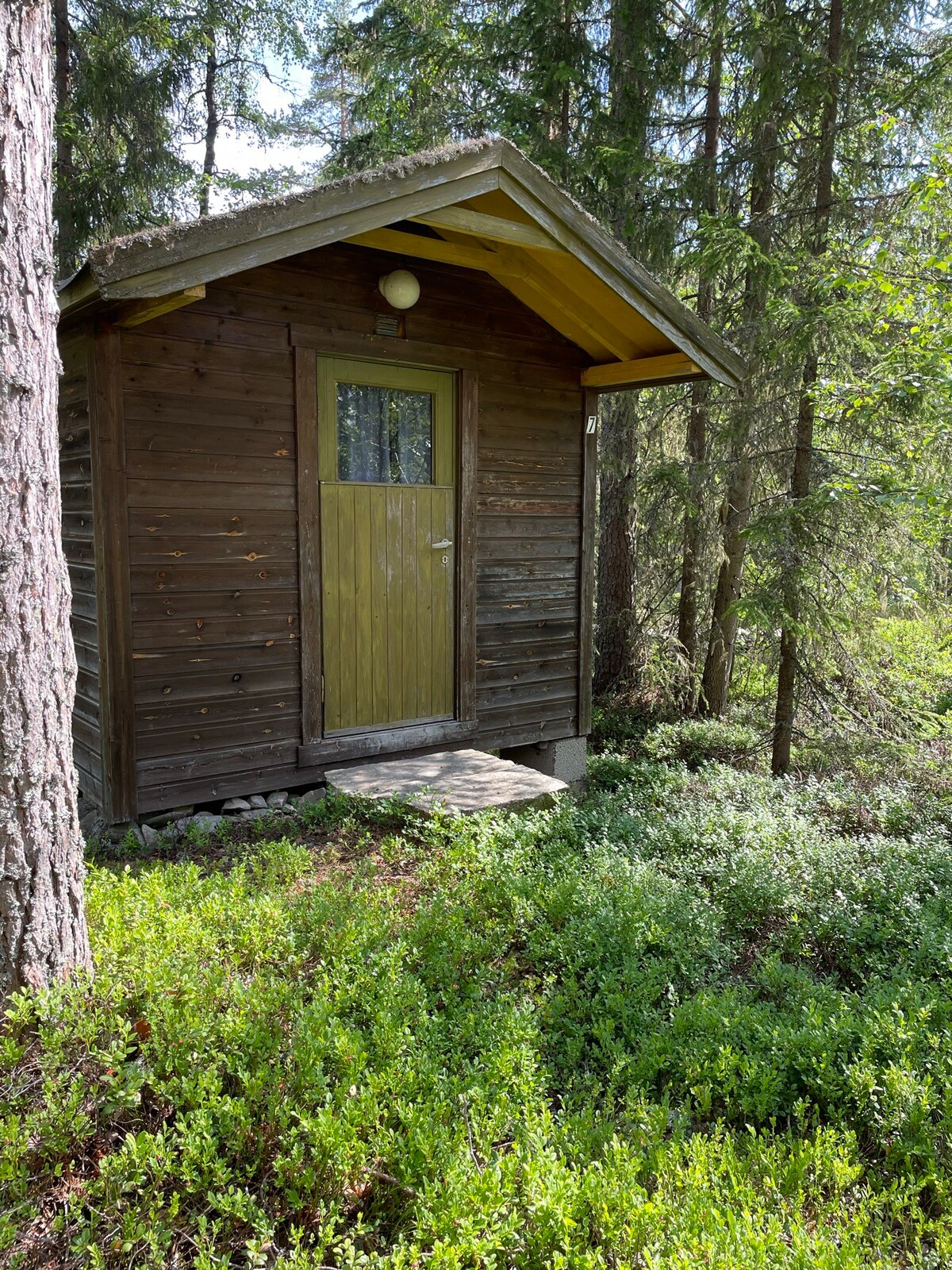 Bergskog Living - Mini hytte nr. 7