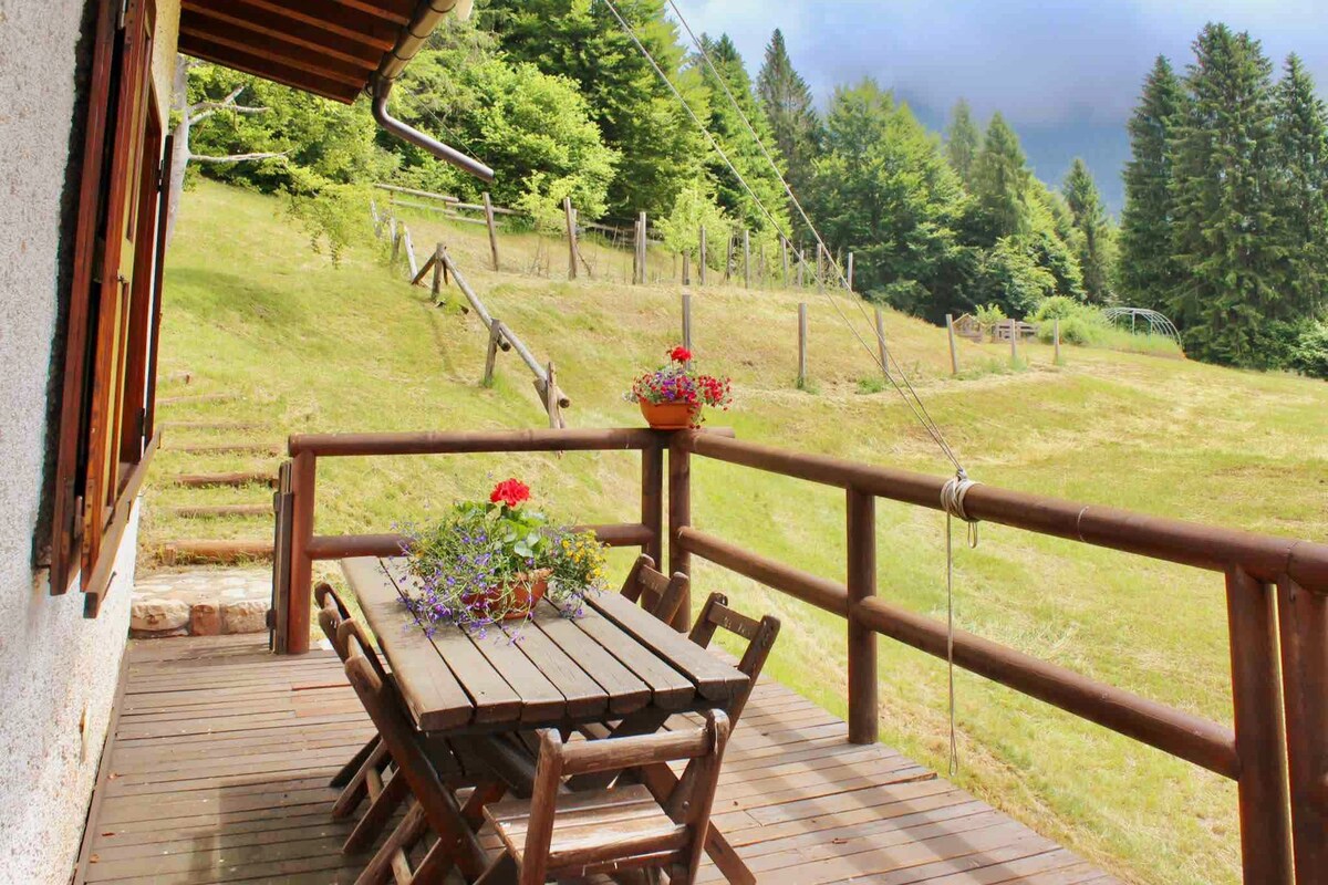* Chalet inside the nature* [12 guests + WI-FI]