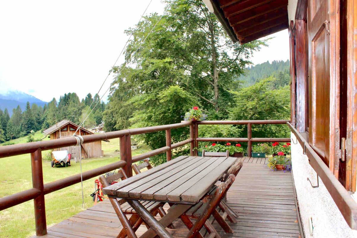* Chalet inside the nature* [12 guests + WI-FI]