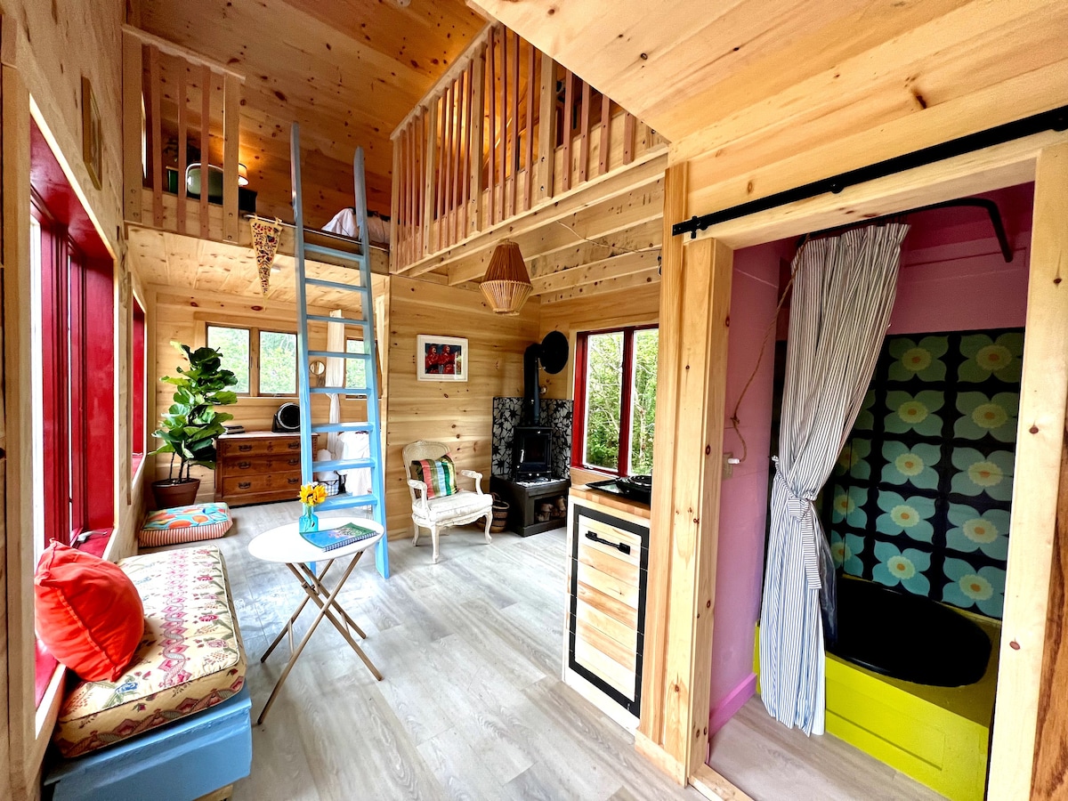 Unique Colorful Off-Grid Cabin