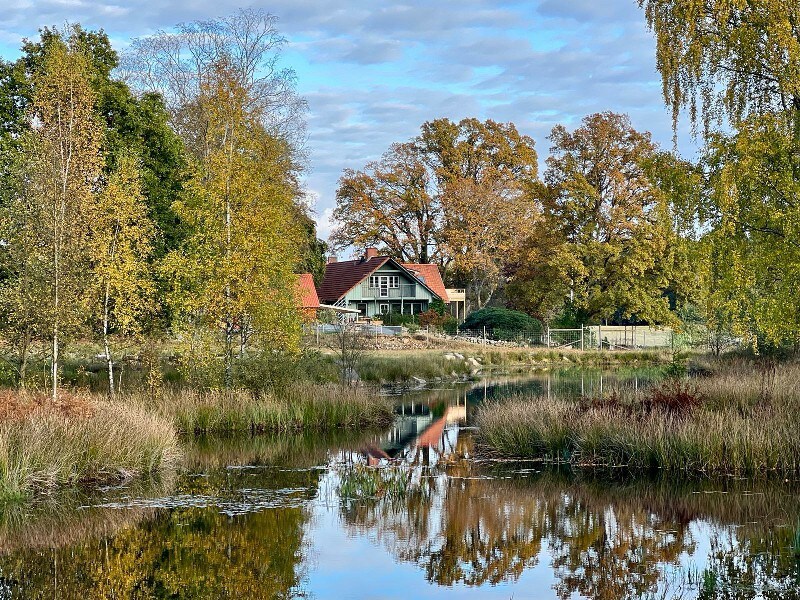 Deeröds Vildpark B&B Wildpark