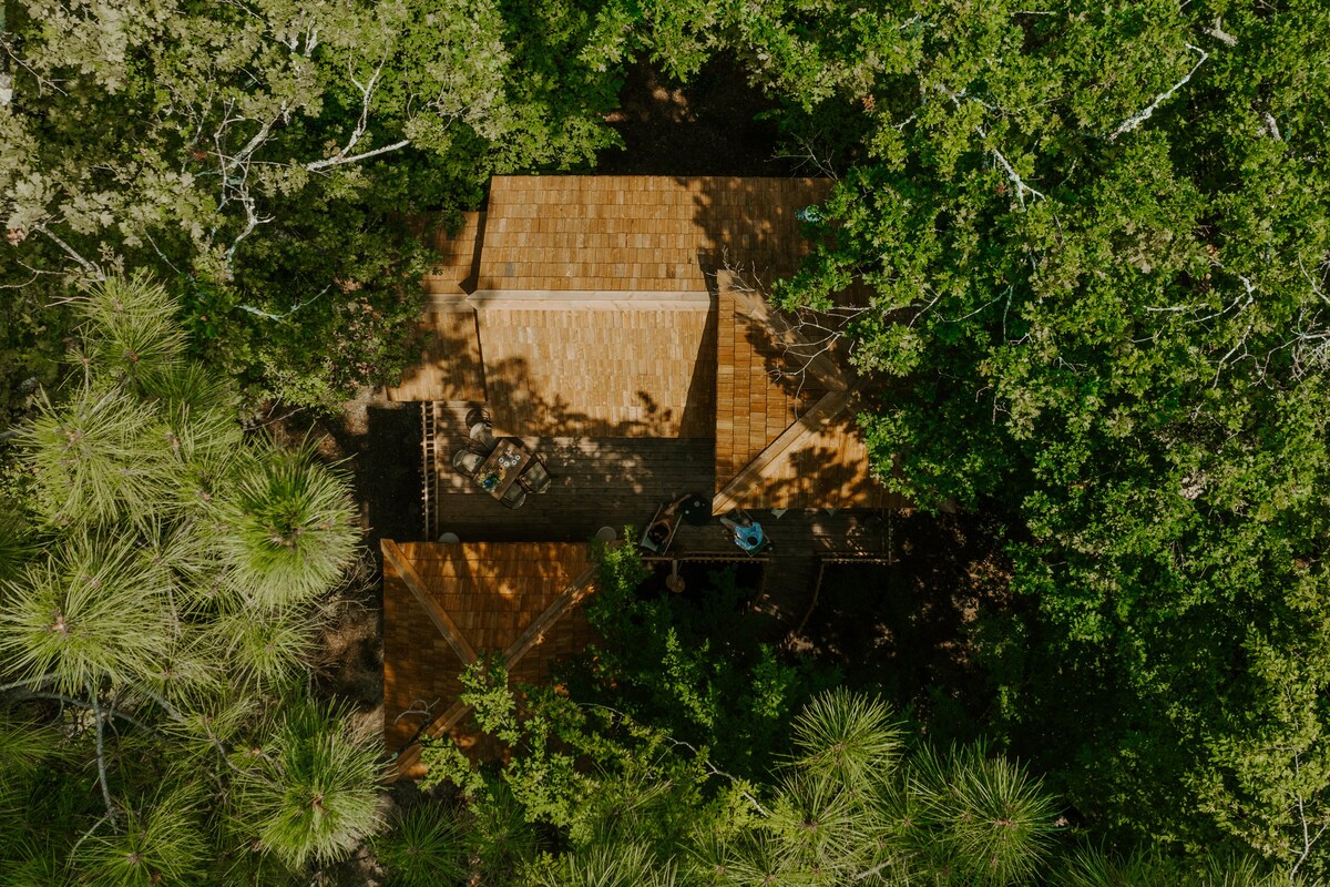 Cabane la Forêt