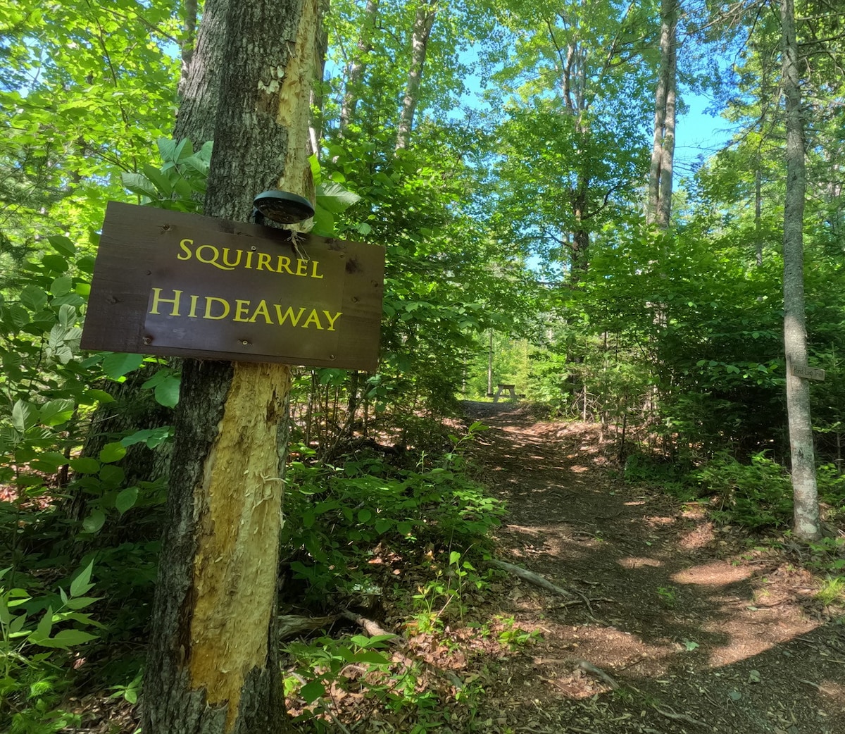 Squirrel Hideaway Campsite