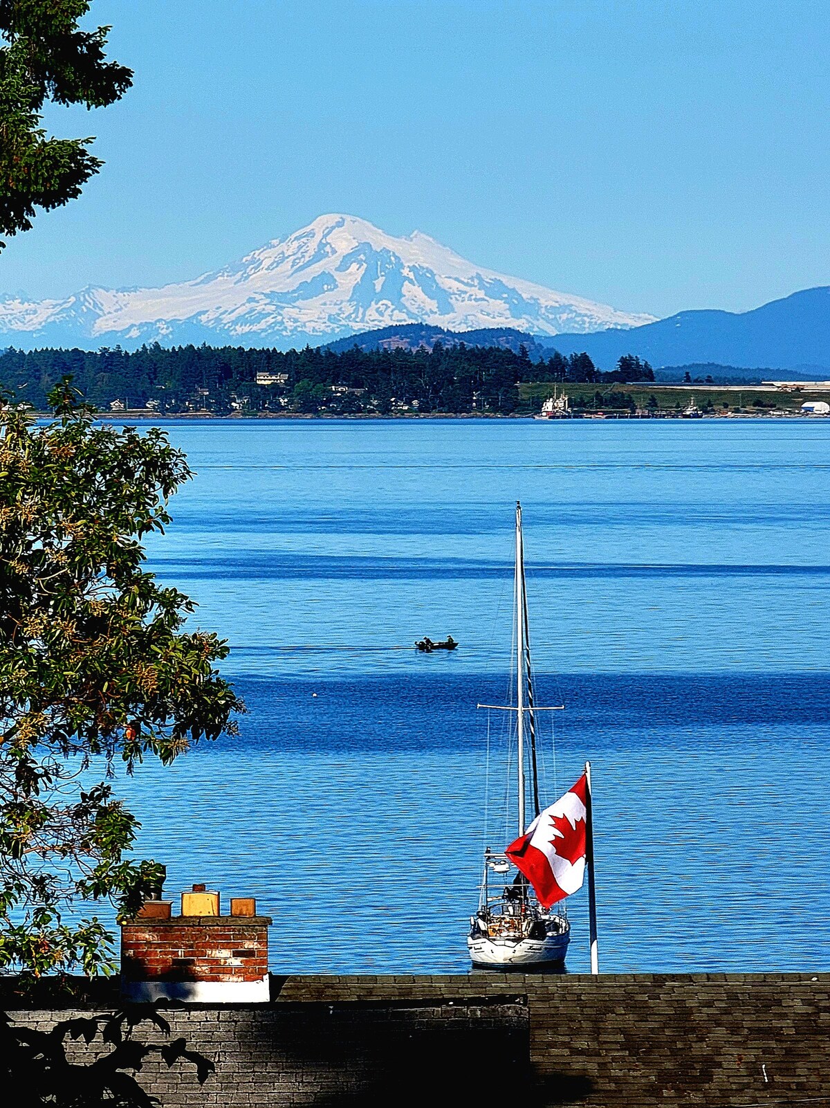 Cottage by the sea w Mtn & Bay views-pet friendly!