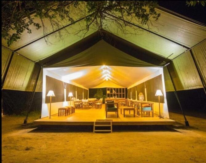 Private Safari Camp tents