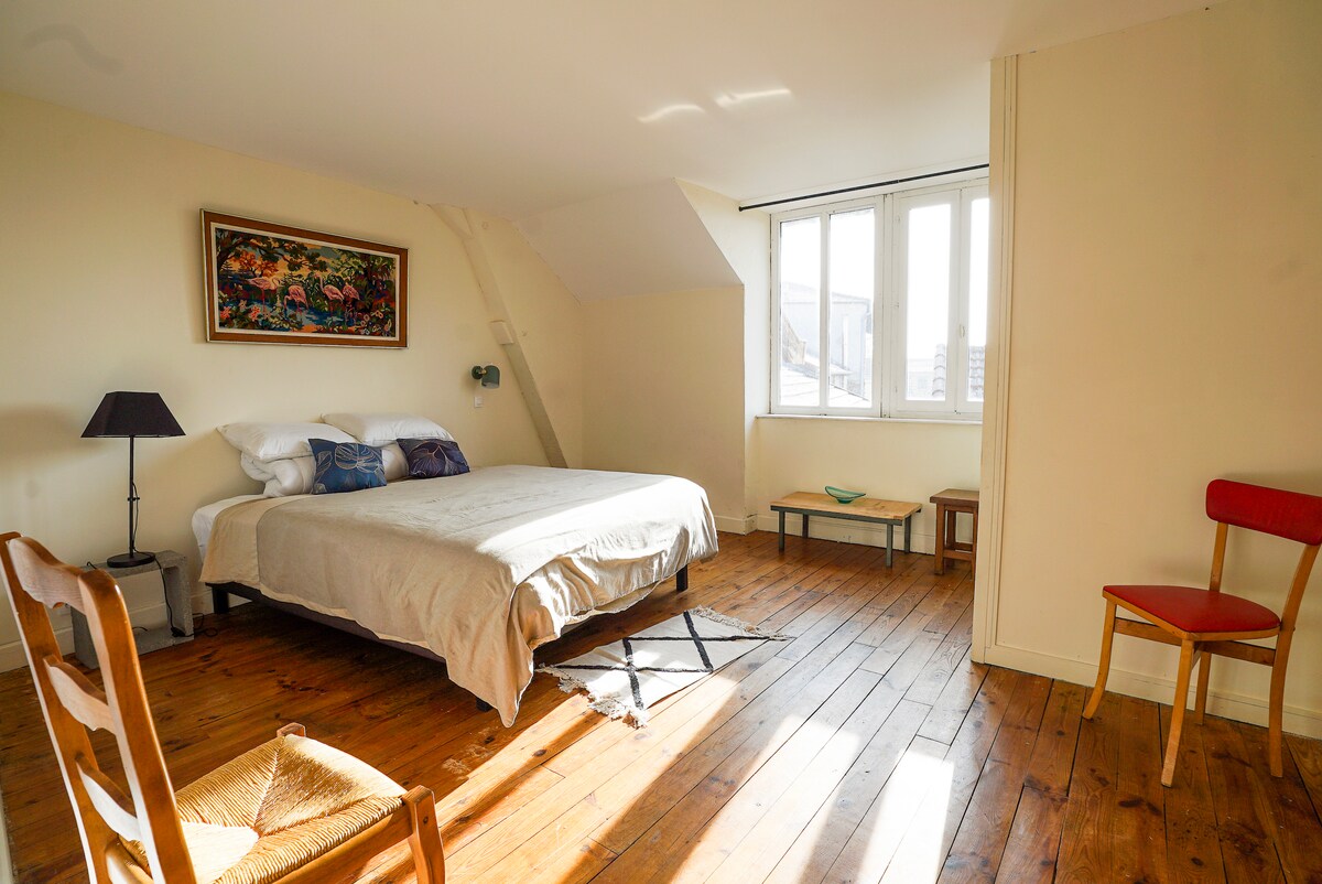 Chambre 1 à Saint Jodard avec SDB privative