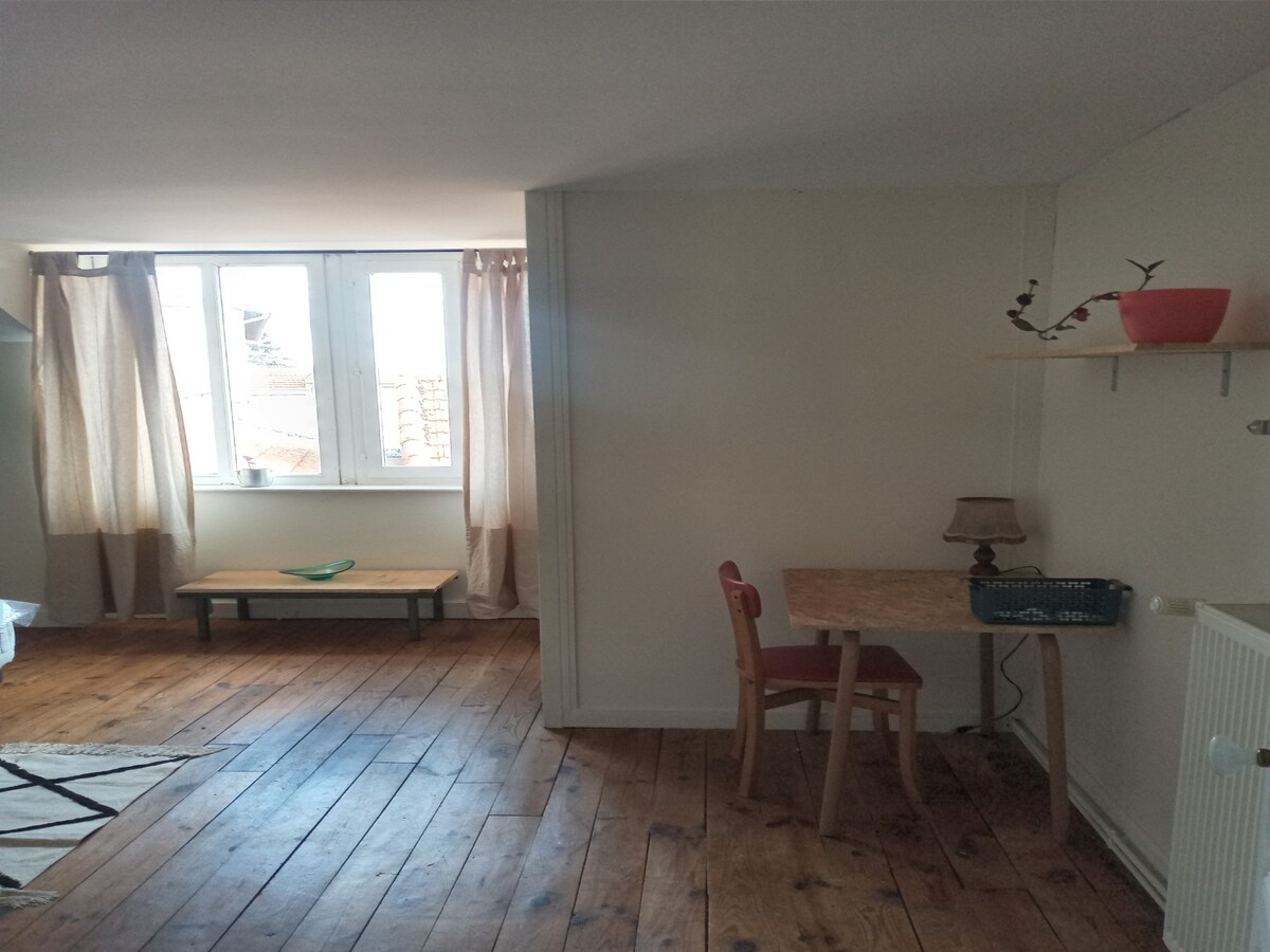 Chambre 1 à Saint Jodard avec SDB privative