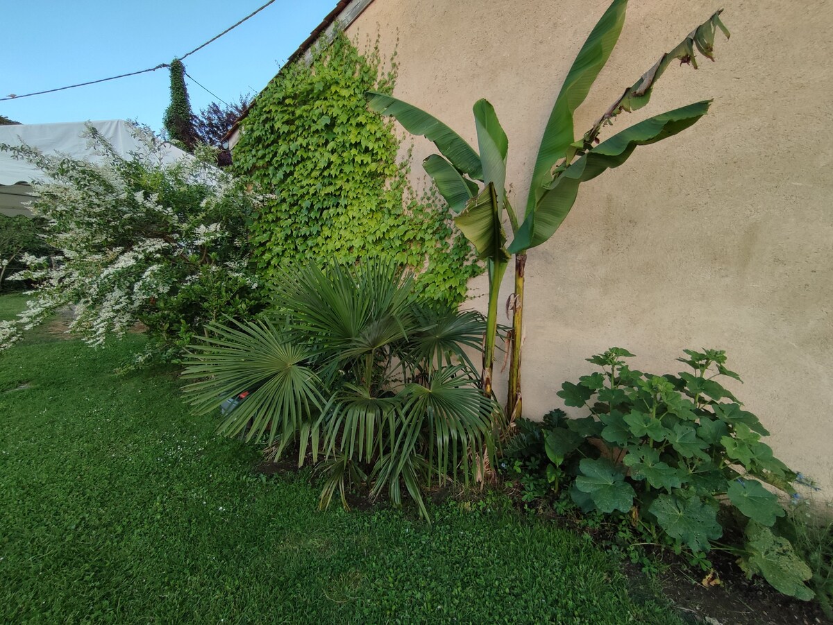 Gîte du Tounet - Bergerac