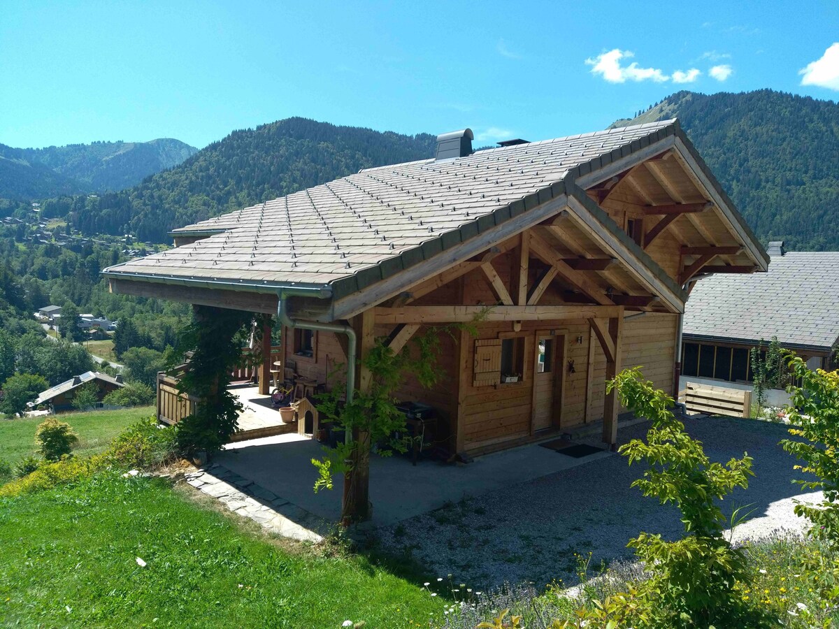 Chalet Montriond 6 personnes