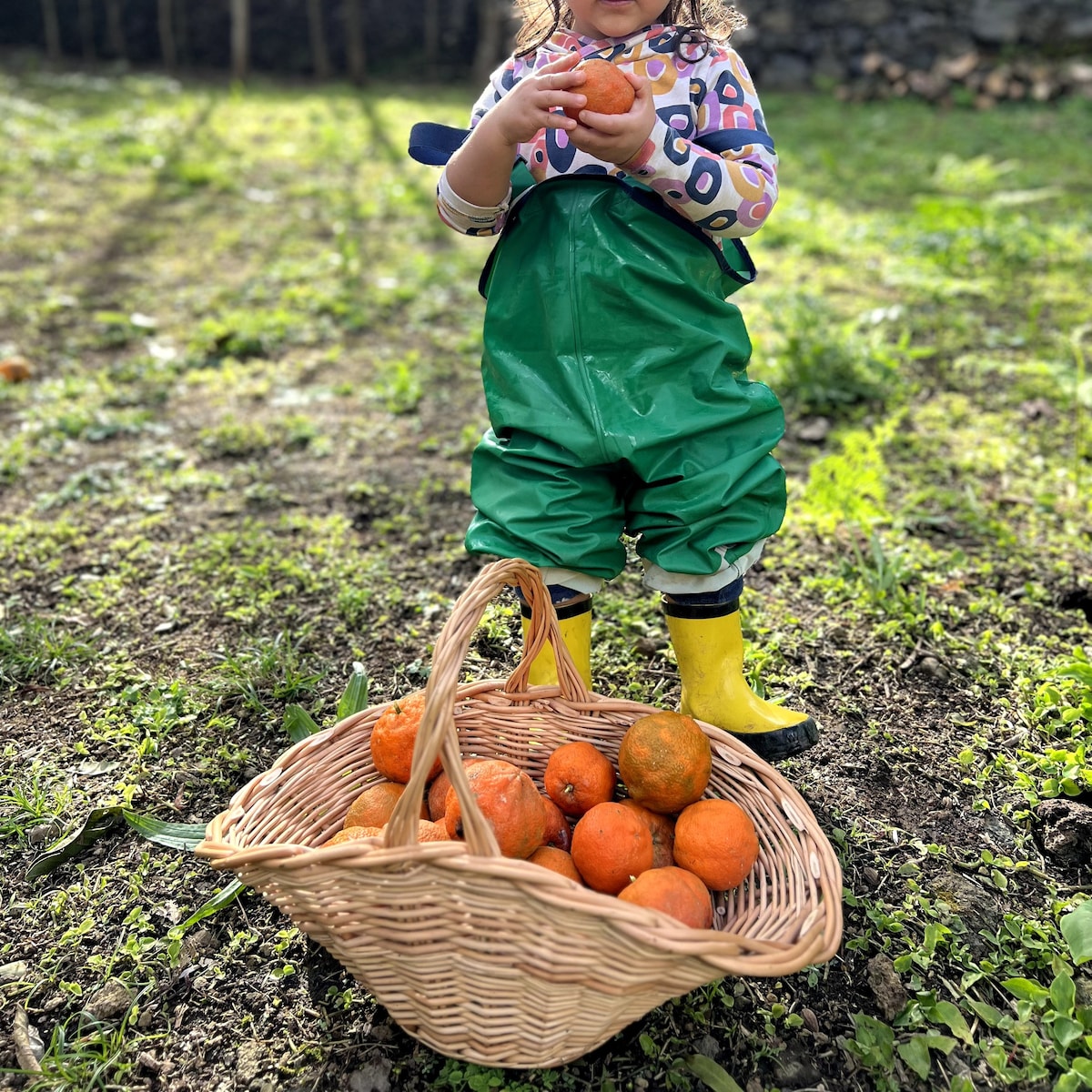 The Chestnut Garden - Farm House